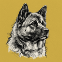 Akita