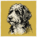 Bernedoodle