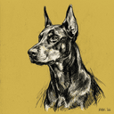 Doberman Pinscher