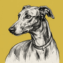 Greyhound rescue dog illustration