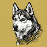 Husky