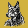 Kelpie
