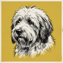 Old English Sheepdog