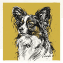 Papillon