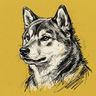 Shiba Inu