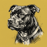 Staffy