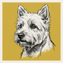 West Highland White Terrier
