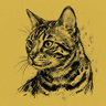 Bengal