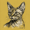 Devon Rex