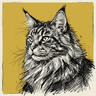 Maine Coon