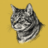 Manx