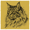 Norwegian Forest Cat