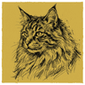 Norwegian Forest Cat