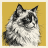 Ragdoll