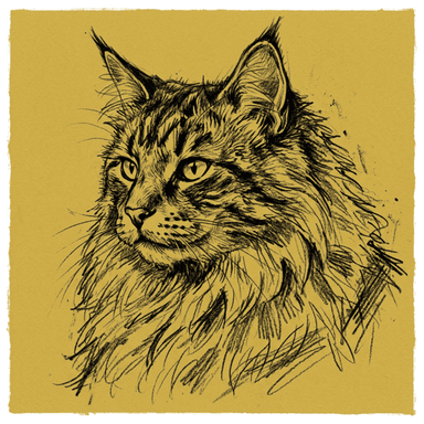 Norwegian Forest Cat illustration