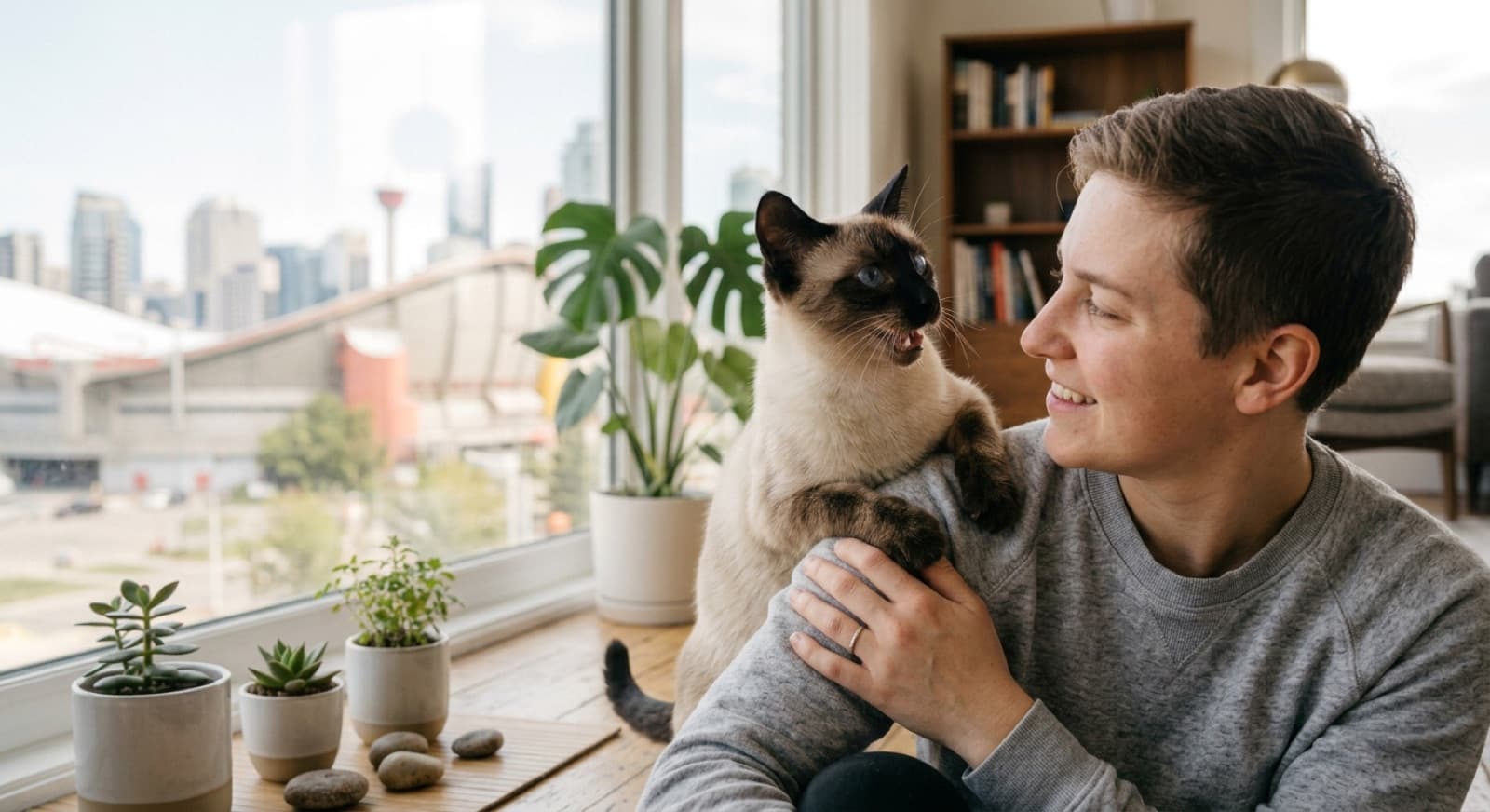 A Siamese cat interacting closely with a person, illustrating the breed's vocal, people-focused temperament and need for companionship for Brisbane owners